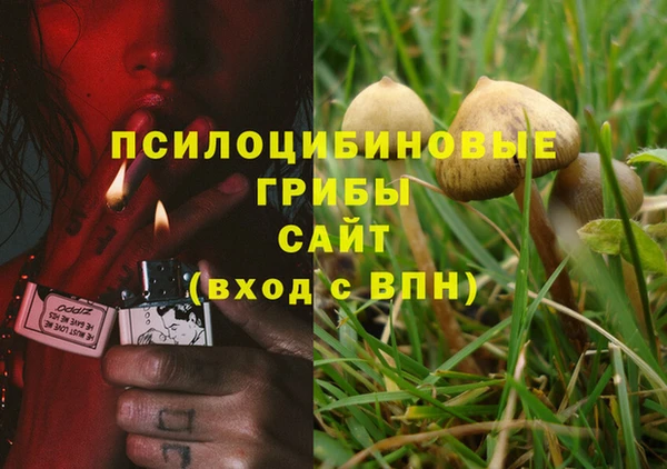 МДПВ Верхний Тагил