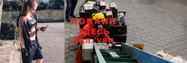 бошки Сосновый Бор
