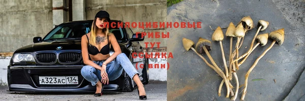 таблы Верея