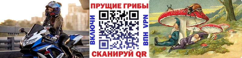 KRAKEN сайт  Чебоксары  Псилоцибиновые грибы Psilocybine cubensis 